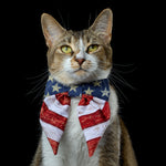 Load image into Gallery viewer, Pawty in the USA Sailor Bow
