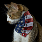 Load image into Gallery viewer, Pawty in the USA
